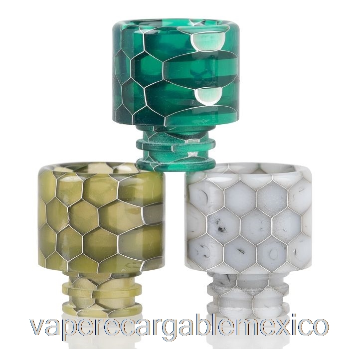Vape Recargable 510 Punta De Goteo De Resina De Piel De Serpiente Negro